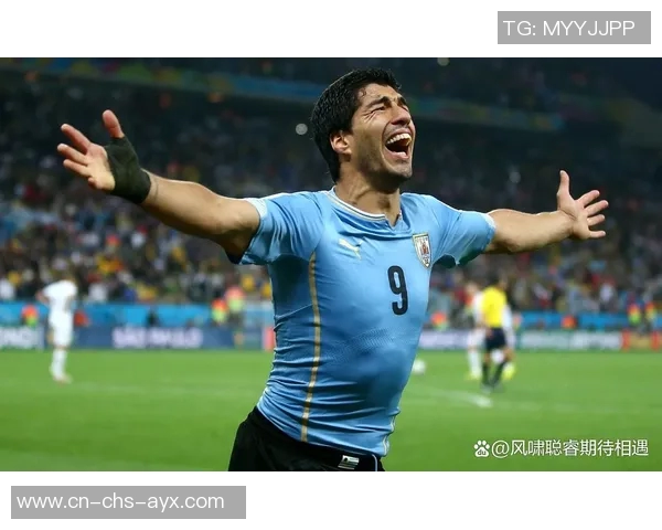 世界杯经典对决巴西与荷兰的足球传奇与激情碰撞